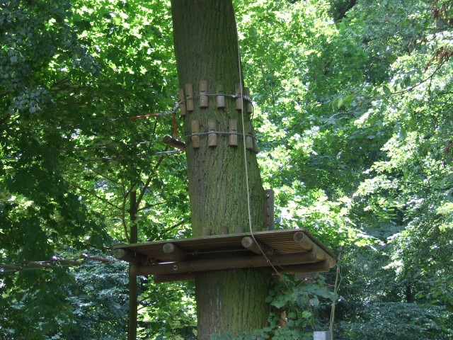 Park linowy znika z wyspy (ZOBACZ) - 6
