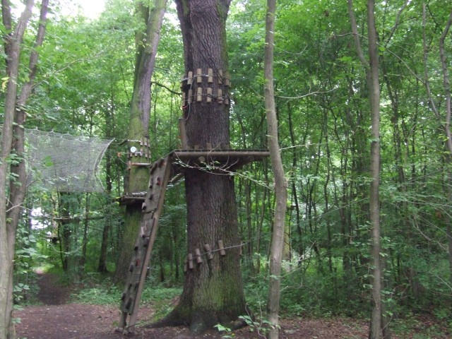 Park linowy znika z wyspy (ZOBACZ) - 21