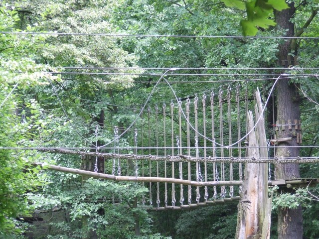 Park linowy znika z wyspy (ZOBACZ) - 13