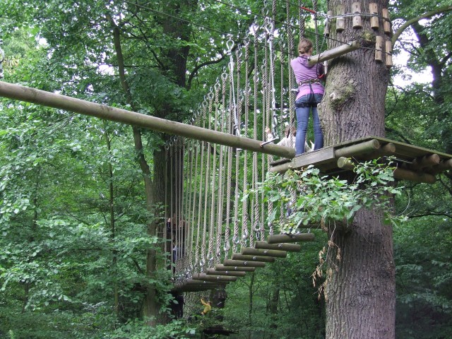 Park linowy znika z wyspy (ZOBACZ) - 18