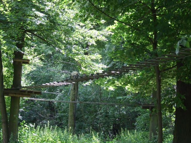 Park linowy znika z wyspy (ZOBACZ) - 7