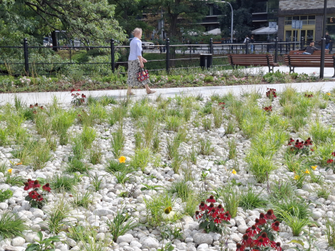 Remont wejścia na Promenadę Staromiejską. Jak mieszkańcy Wrocławia oceniają zmiany? - 5