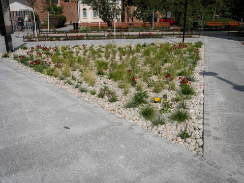 Remont wejścia na Promenadę Staromiejską. Jak mieszkańcy Wrocławia oceniają zmiany? - 4
