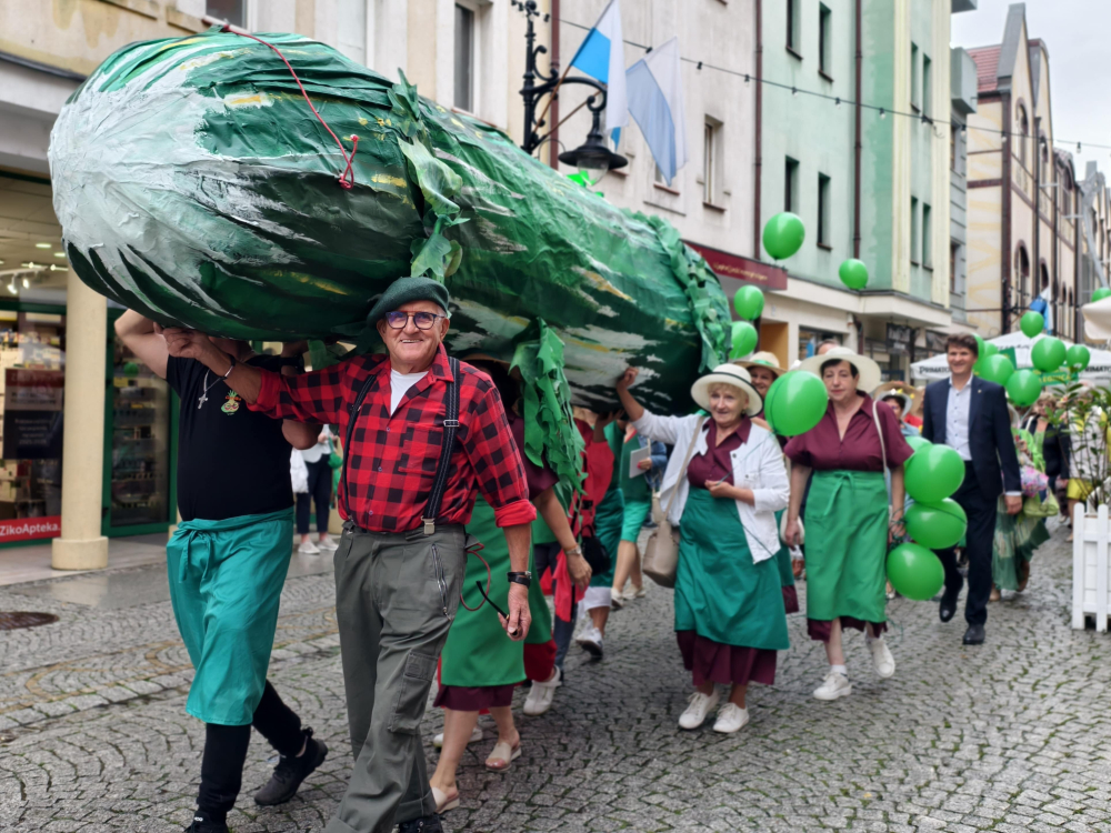 Przeszli przez legnicki rynek z czterometrowym ogórkiem na plecach! Ważne święto wraca po 15 latach – Legnickie Święto Ogórka. Powróciło do miasta po 15 latach.