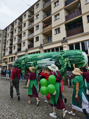 Przeszli przez legnicki rynek z czterometrowym ogórkiem na plecach! Ważne święto wraca po 15 latach - 0