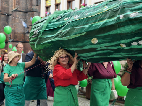 Przeszli przez legnicki rynek z czterometrowym ogórkiem na plecach! Ważne święto wraca po 15 latach - 2