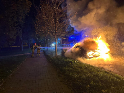 Strażacy walczyli z pożarem w Jaworze. Spłonął samoch&oacute;d osobowy [ZDJĘCIA]