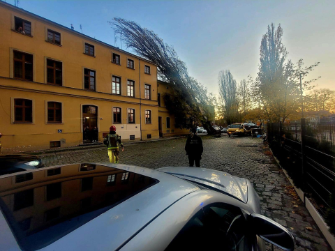 Wrocław: Drzewo spadło na budynek. Trwa akcja służb przy Tęczowej [ZDJĘCIA] - 1