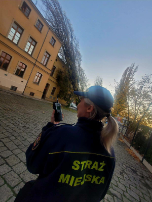 Wrocław: Drzewo spadło na budynek. Trwa akcja służb przy Tęczowej [ZDJĘCIA] - 3