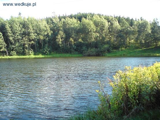 Tragedia na jeleniogórskim kąpielisku - Fot. www.wedkuje.pl