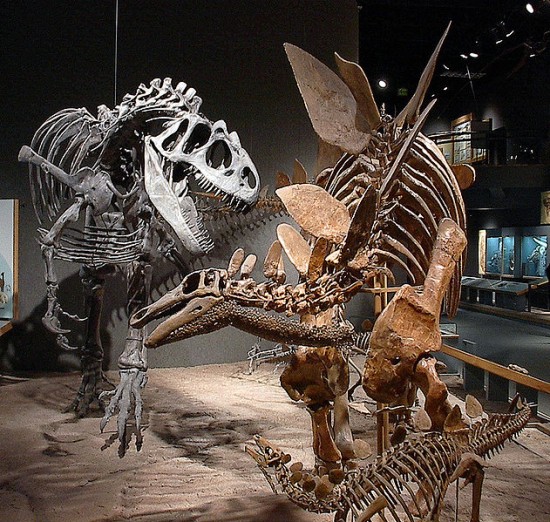 Dinozaury w galerii handlowej - fot. BetacommandBot/Wikipedia