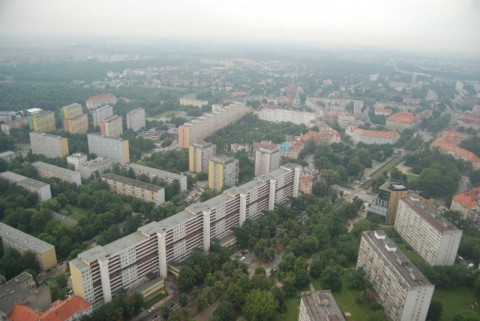 Sky Tower: Byliśmy na szczycie! - 13