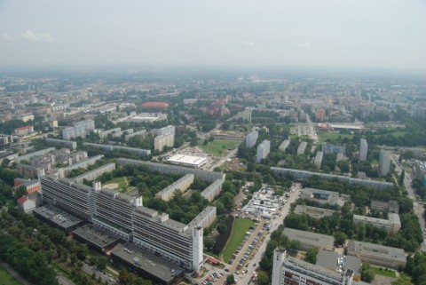 Sky Tower: Byliśmy na szczycie! - 44