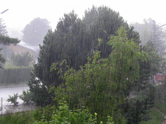 Alarm powodziowy. Na razie spokój - fot. Tsca/Wikipedia