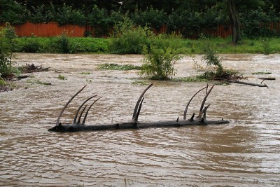 Alarm powodziowy w regionie - 35
