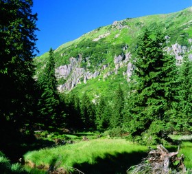 Darmowe wycieczki w Karkonosze - Fot. KPN
