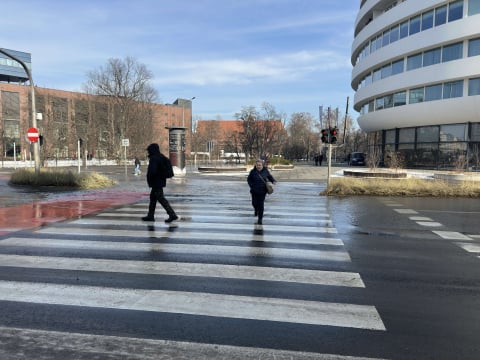 Rzeka na ul. Traugutta we Wrocławiu! Wielka awaria magistrali wodociągowej - 4