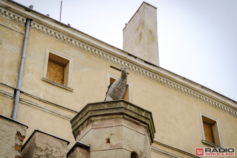 Dotacja na remont Zamku Piastowskiego. Są pieniądze na naprawę dachu, choć to kropla w morzu - 7