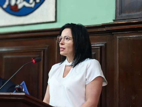 Jawor: Kontrowersyjna uchwała antyimigracyjna uchylona. W grę wchodziło 240 mln złotych - 0