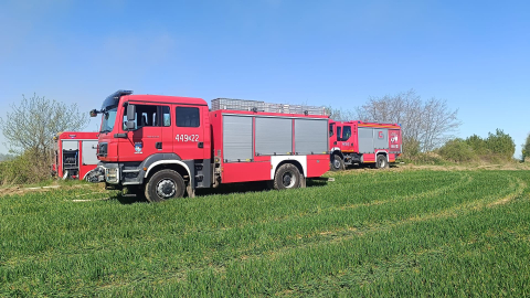 Pożar hałd drewna w Zimniku. Kłęby dymu było widać z wielu kilometrów [ZDJĘCIA] - 3