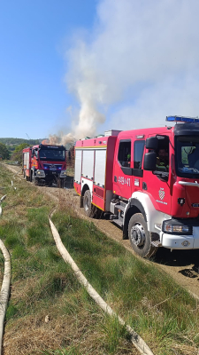 Pożar hałd drewna w Zimniku. Kłęby dymu było widać z wielu kilometrów [ZDJĘCIA] - 6