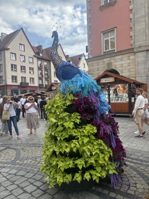 Wielu mieszkańców Wrocławia na to czekało. Rozpoczął się Jarmark Świętojański - 2