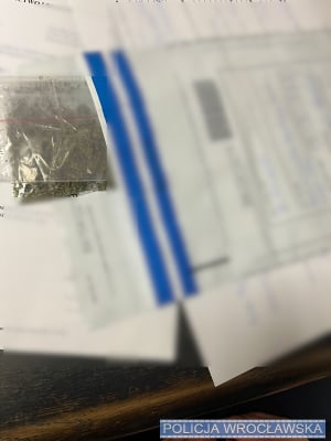 Autem, pieszo i wpław. 19-latek zaliczył "triathlon" uciekając przed policją - 0