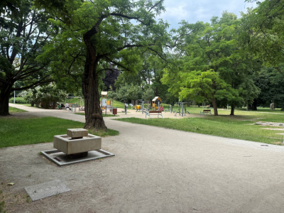 Wrocławskie BWA z nowym programem na lato. Piknik, warsztaty i inne atrakcje w Parku Węgrzynowskiego