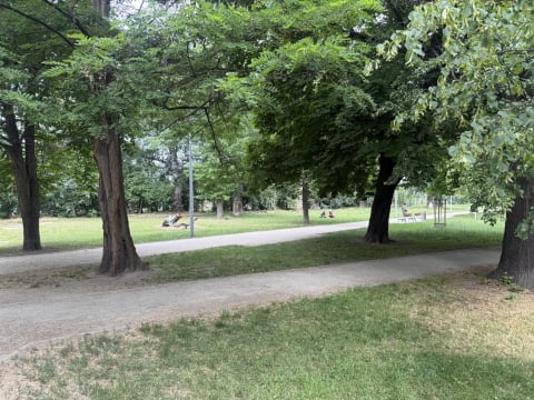 Wrocławskie BWA z nowym programem na lato. Piknik, warsztaty i inne atrakcje w Parku Węgrzynowskiego - 1