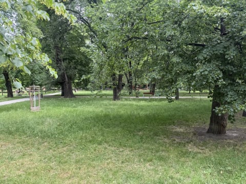 Wrocławskie BWA z nowym programem na lato. Piknik, warsztaty i inne atrakcje w Parku Węgrzynowskiego - 2
