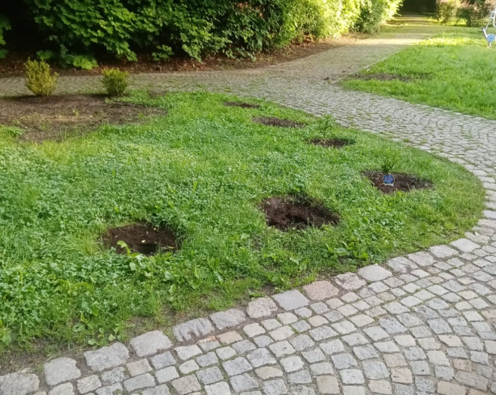 Park Sobieskiego w Wałbrzychu na celowniku złodziei i wandali. Skradziono lampę oraz nowe sadzonki