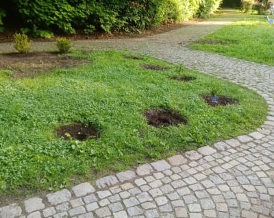 Park Sobieskiego w Wałbrzychu na celowniku złodziei i wandali. Skradziono lampę oraz nowe sadzonki