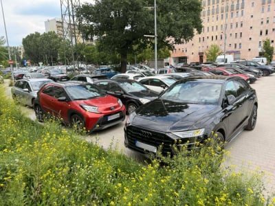 Zaparkowanie na tej ulicy jest dużym wyzwaniem. To efekt wprowadzenia opłat przy Magnolii