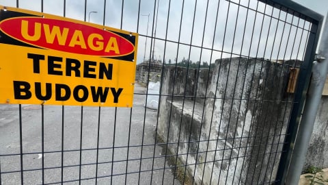 Tysiące martwych ryb po spuszczeniu wody z Jeziora Pilchowickiego. "Nie ma możliwości, żeby wszystkie zostały odłowione" - 2