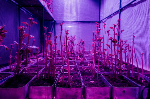Dwie odmienne tradycje, jeden wspólny projekt. W Galerii OP ENHEIM można obejrzeć polsko-chińśką kooperacje - 2