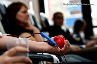 Zbiórka krwi na wrocławskim Rynku -
