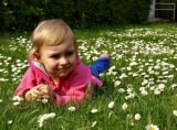 Piknik rodzinny na Wyspie Słodowej - Fot. Wrocławianie na Polanie
