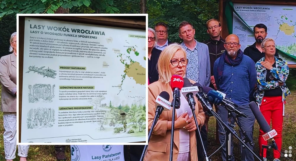 Ponad 13 tysięcy hektarów na lasy społeczne. Aglomeracja wrocławska jest pierwsza w Polsce