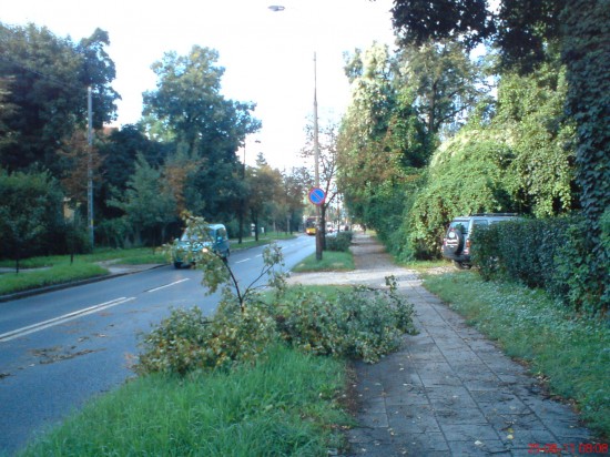 Dolny Śląsk sprząta po burzach - 1