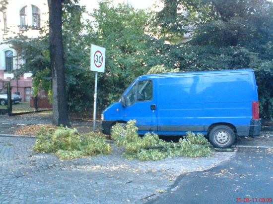Dolny Śląsk sprząta po burzach - 2
