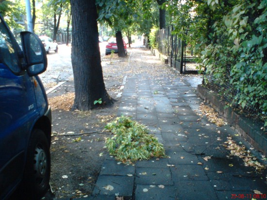 Dolny Śląsk sprząta po burzach - 3