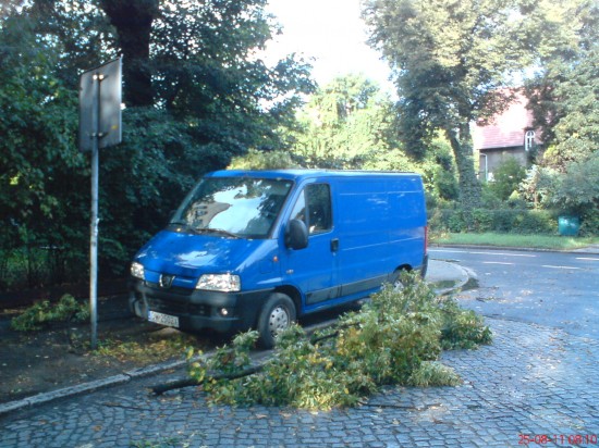 Dolny Śląsk sprząta po burzach - 4