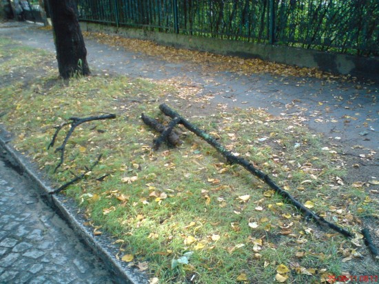 Dolny Śląsk sprząta po burzach - 5