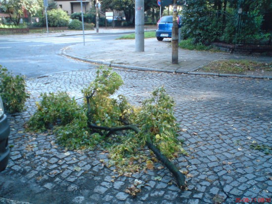 Dolny Śląsk sprząta po burzach - 6