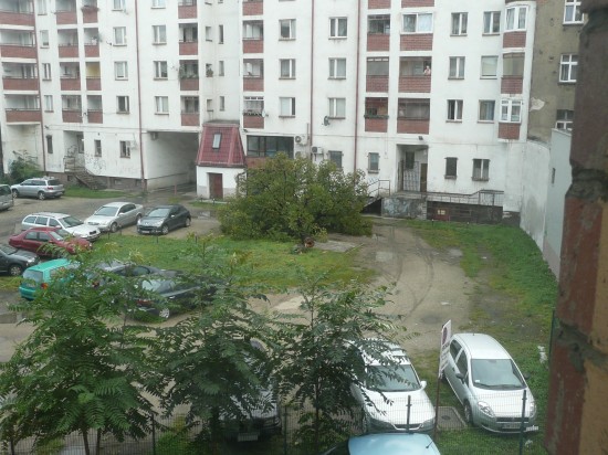 Dolny Śląsk sprząta po burzach - 8