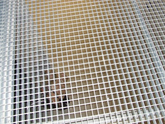 Sztuka współczesna w bunkrze - 5
