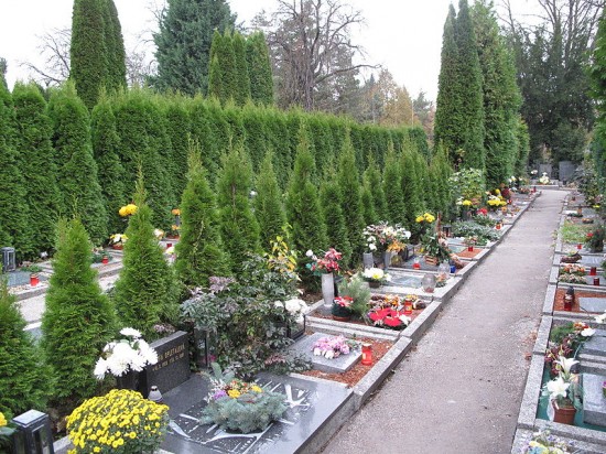 Zatrzymano cmentarną hienę - Fot. Dezidor/Wikipedia