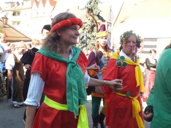 DRJ w Środzie Śląskiej - 15