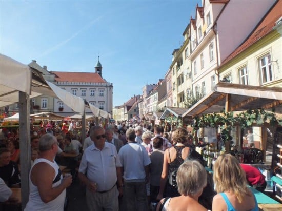 DRJ w Środzie Śląskiej - 21