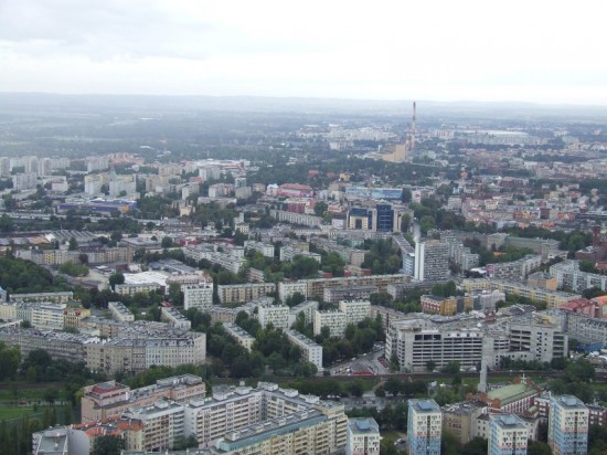 Sky Tower: Wyżej nie urośnie  - 24